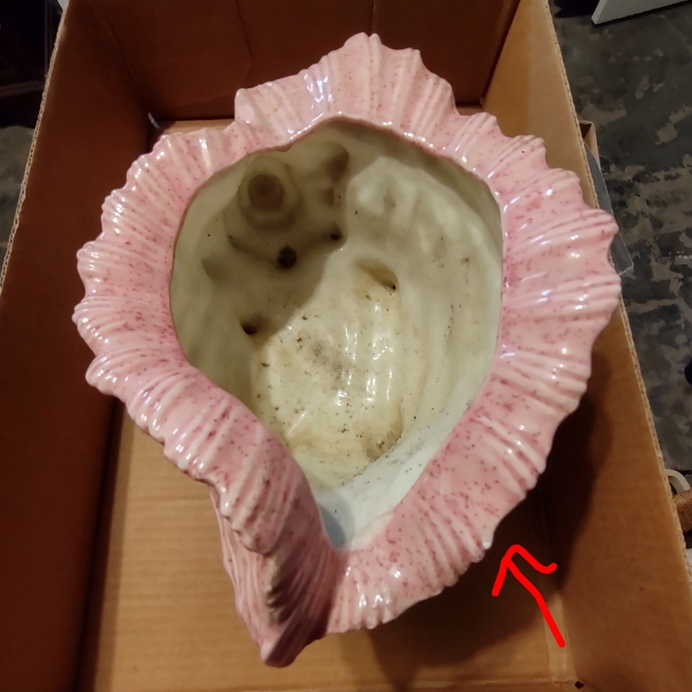 Firm Final price!*Pottery conch - Picture 7 of 8